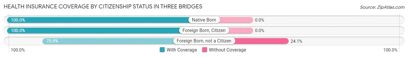 Health Insurance Coverage by Citizenship Status in Three Bridges