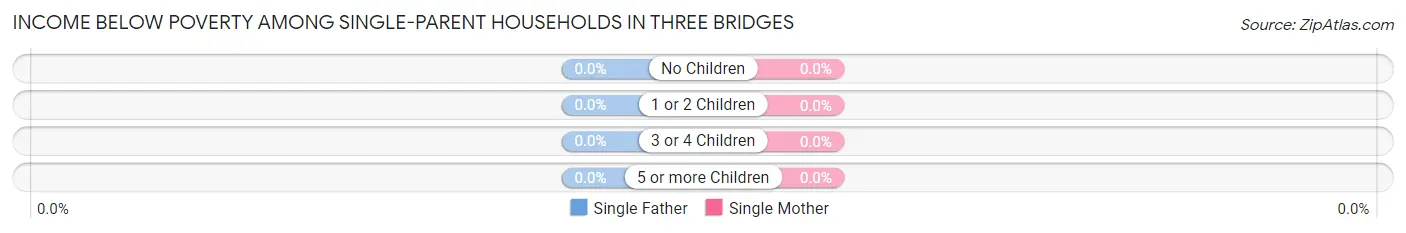 Income Below Poverty Among Single-Parent Households in Three Bridges