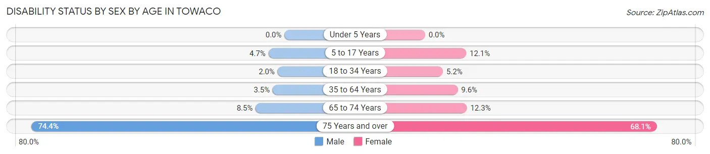 Disability Status by Sex by Age in Towaco