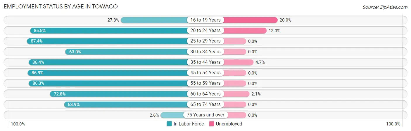 Employment Status by Age in Towaco