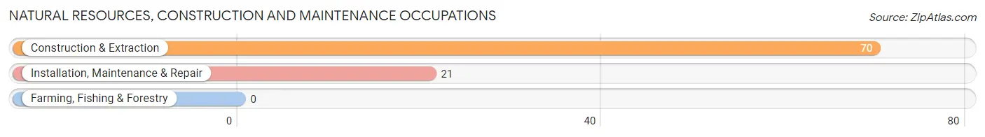 Natural Resources, Construction and Maintenance Occupations in Vernon Valley