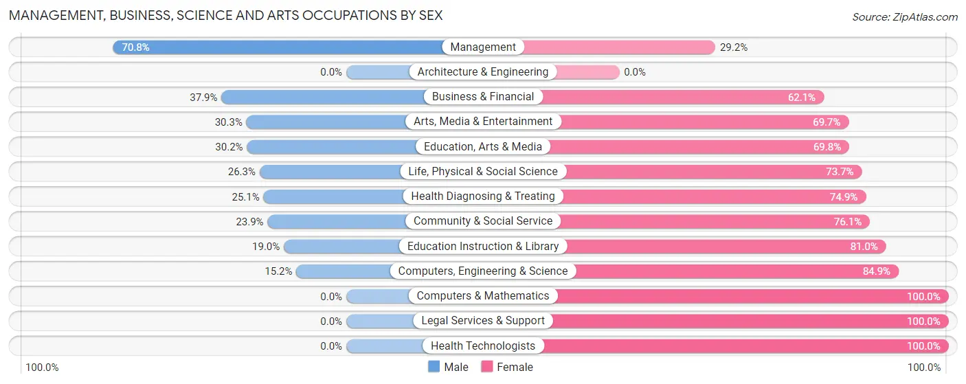 Management, Business, Science and Arts Occupations by Sex in Villas