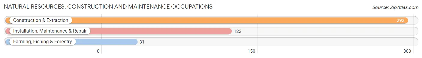 Natural Resources, Construction and Maintenance Occupations in Villas