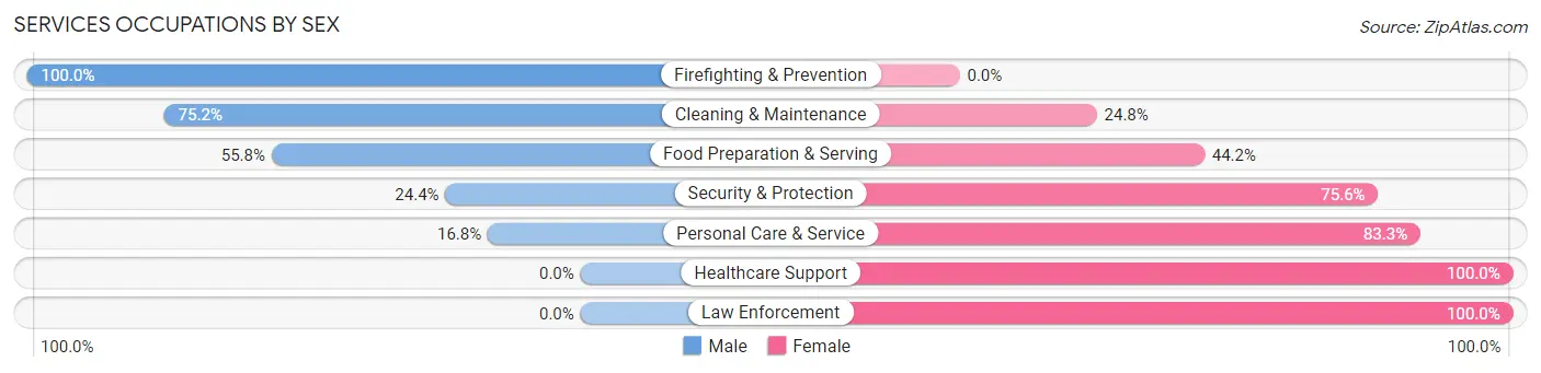 Services Occupations by Sex in Villas