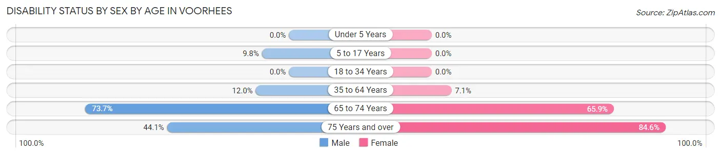 Disability Status by Sex by Age in Voorhees
