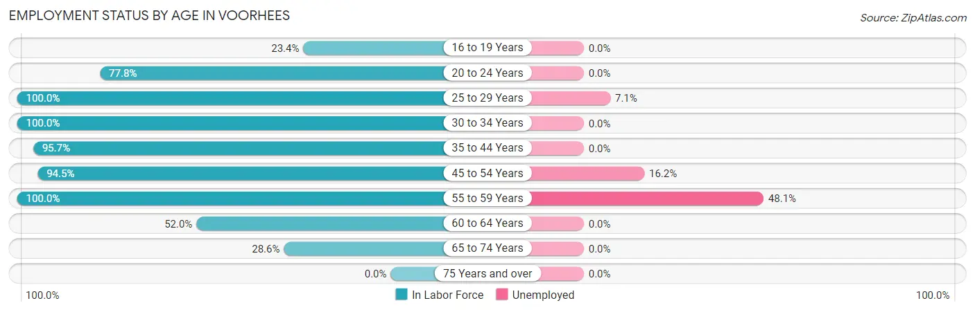 Employment Status by Age in Voorhees