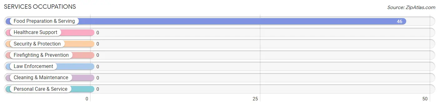 Services Occupations in Washington Crossing