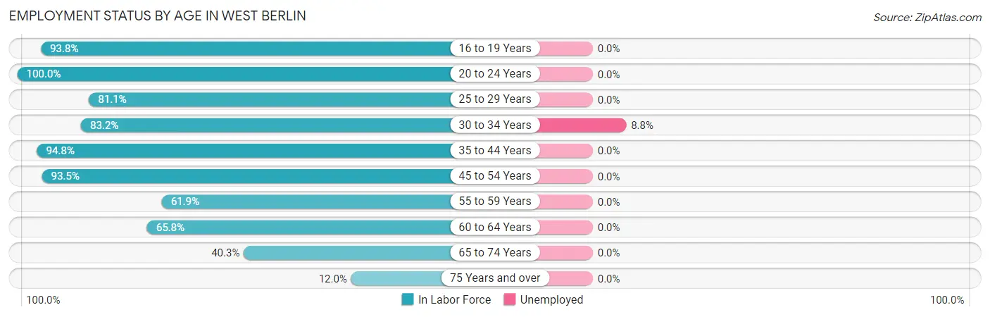 Employment Status by Age in West Berlin
