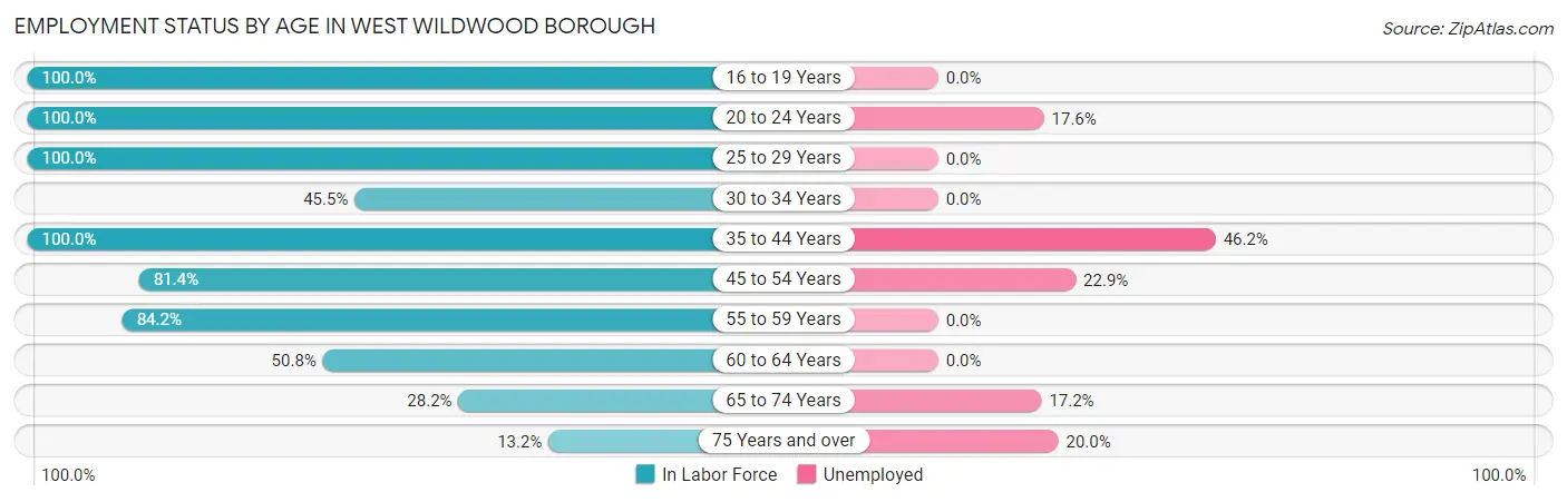 Employment Status by Age in West Wildwood borough
