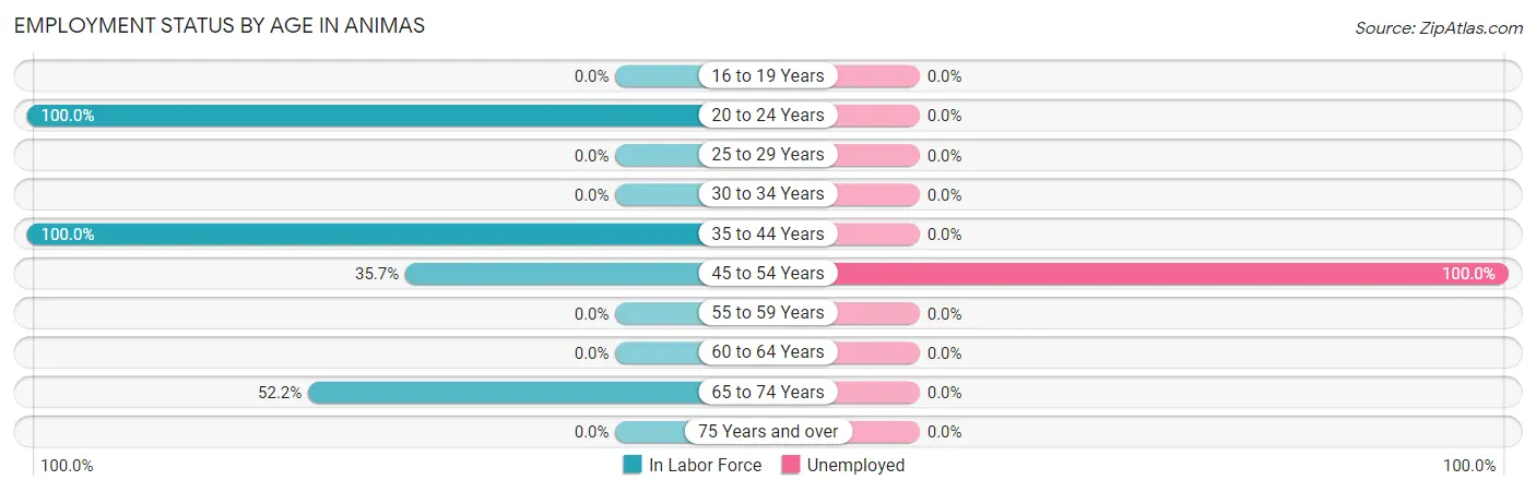 Employment Status by Age in Animas