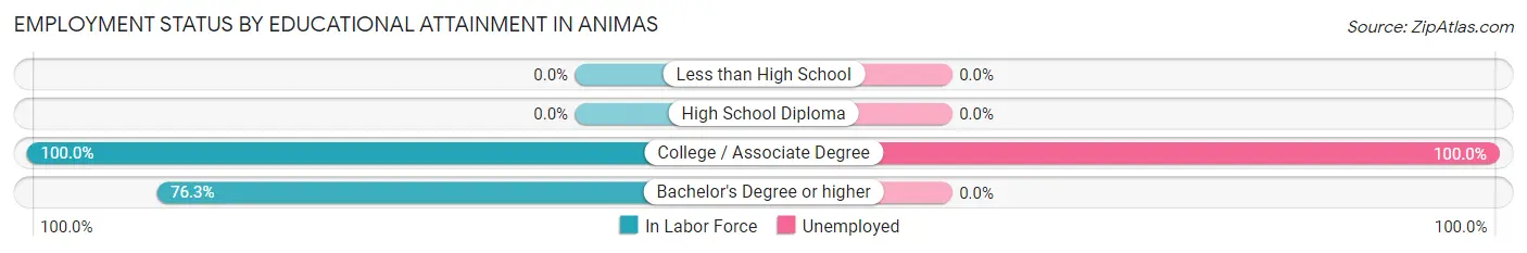 Employment Status by Educational Attainment in Animas