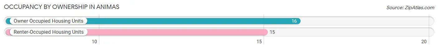 Occupancy by Ownership in Animas