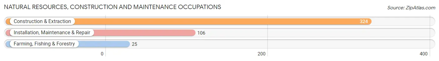 Natural Resources, Construction and Maintenance Occupations in Anthony