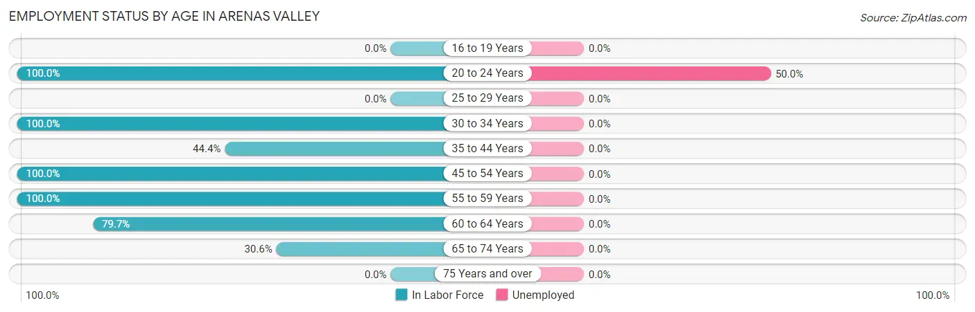 Employment Status by Age in Arenas Valley