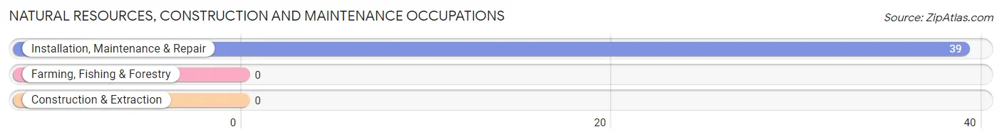 Natural Resources, Construction and Maintenance Occupations in Arroyo Seco