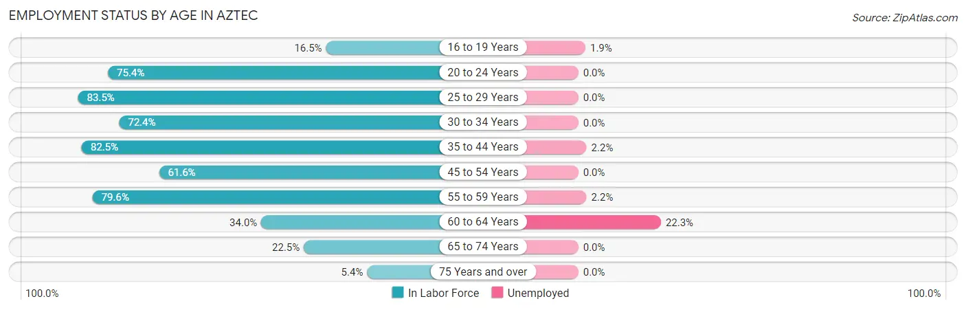 Employment Status by Age in Aztec