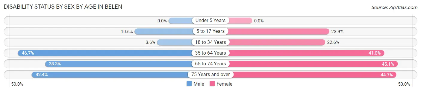 Disability Status by Sex by Age in Belen