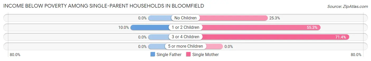 Income Below Poverty Among Single-Parent Households in Bloomfield