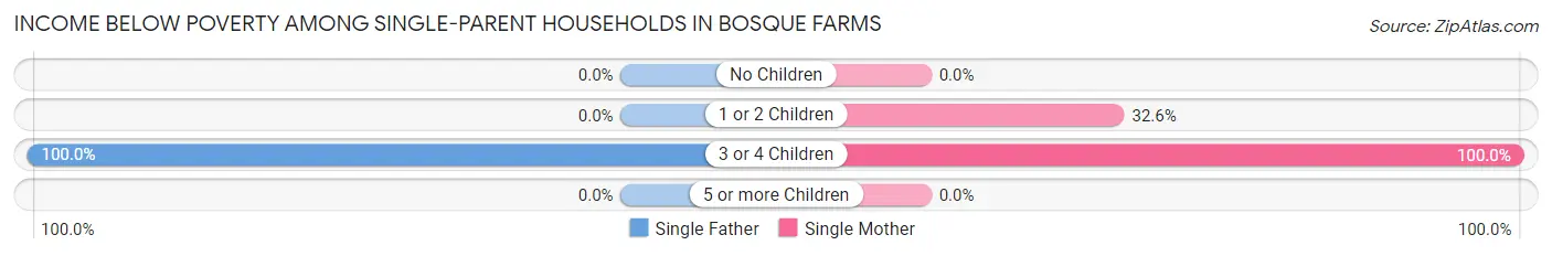 Income Below Poverty Among Single-Parent Households in Bosque Farms