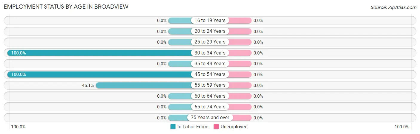 Employment Status by Age in Broadview