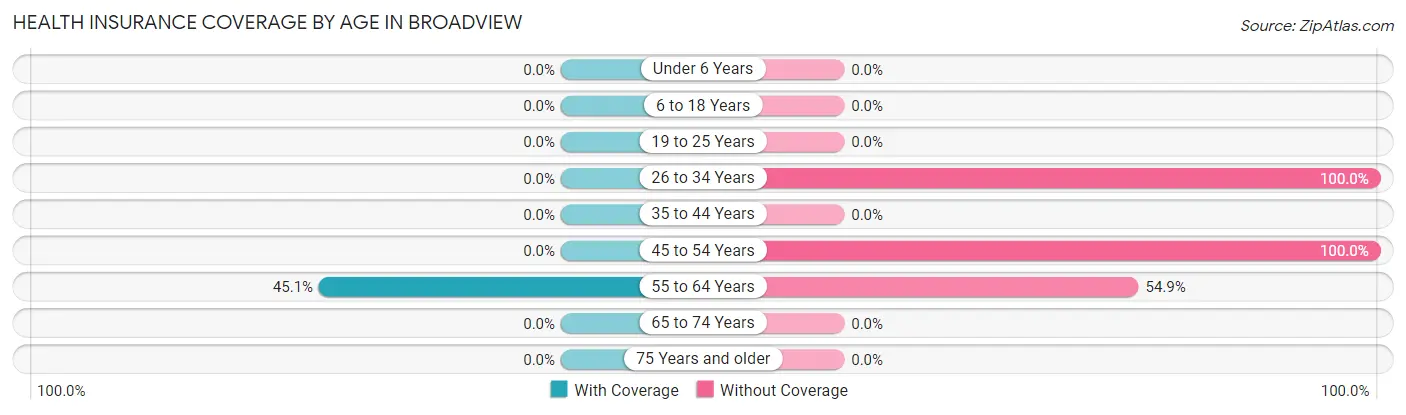 Health Insurance Coverage by Age in Broadview