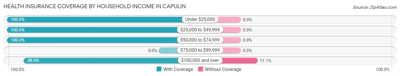 Health Insurance Coverage by Household Income in Capulin