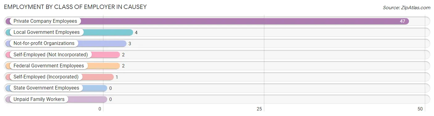 Employment by Class of Employer in Causey