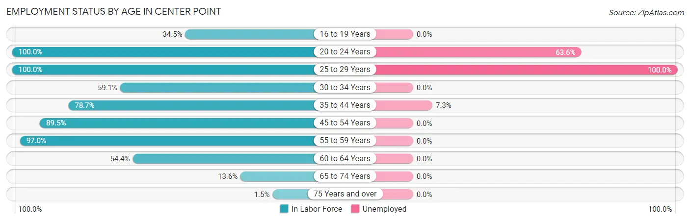 Employment Status by Age in Center Point