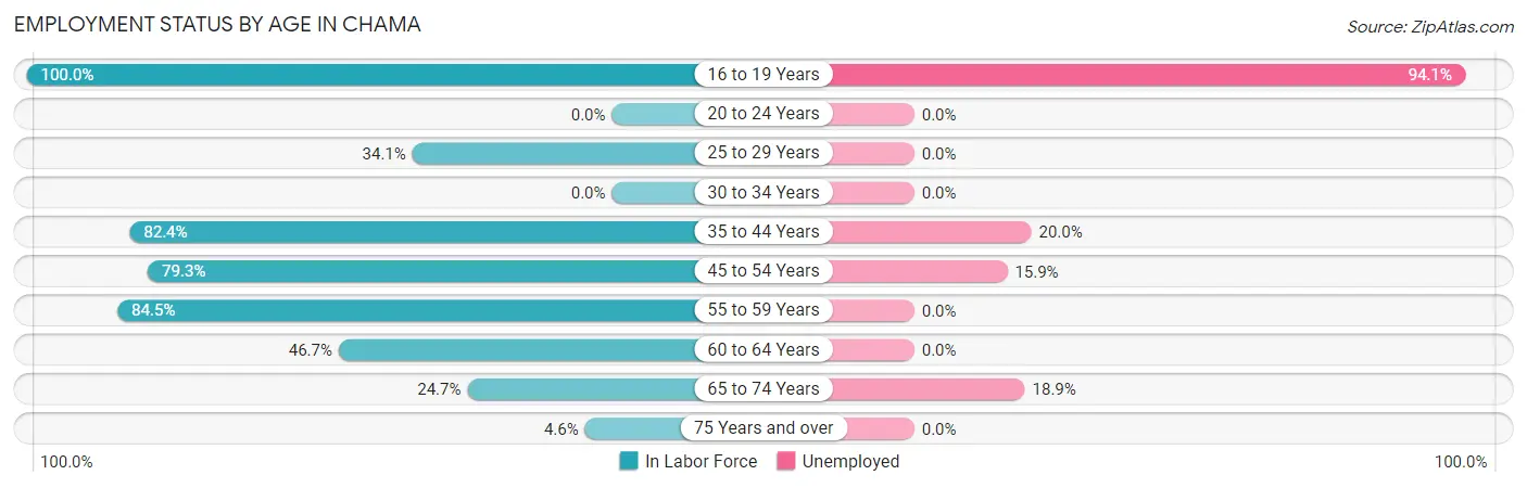 Employment Status by Age in Chama