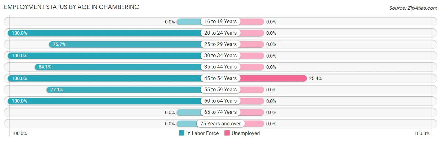 Employment Status by Age in Chamberino