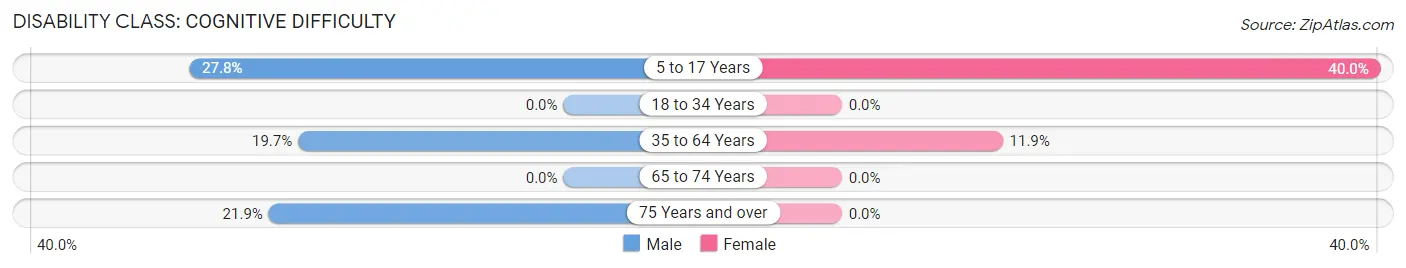 Disability in Chamisal: <span>Cognitive Difficulty</span>