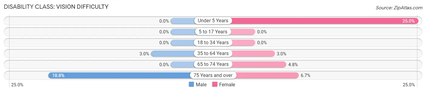 Disability in Chamisal: <span>Vision Difficulty</span>