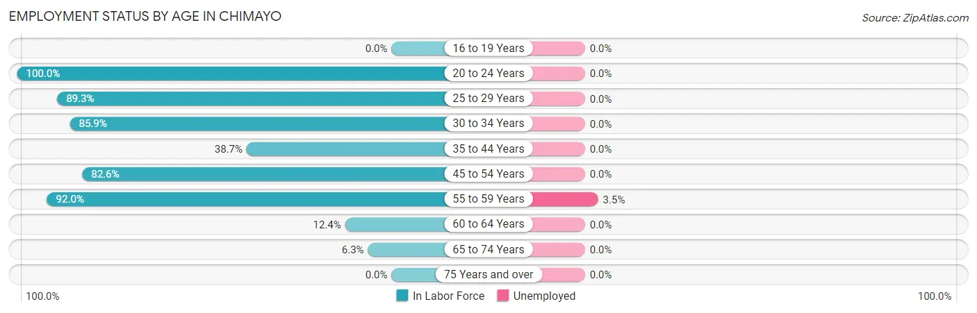 Employment Status by Age in Chimayo