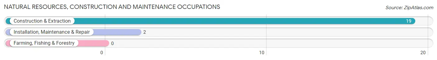 Natural Resources, Construction and Maintenance Occupations in Cimarron