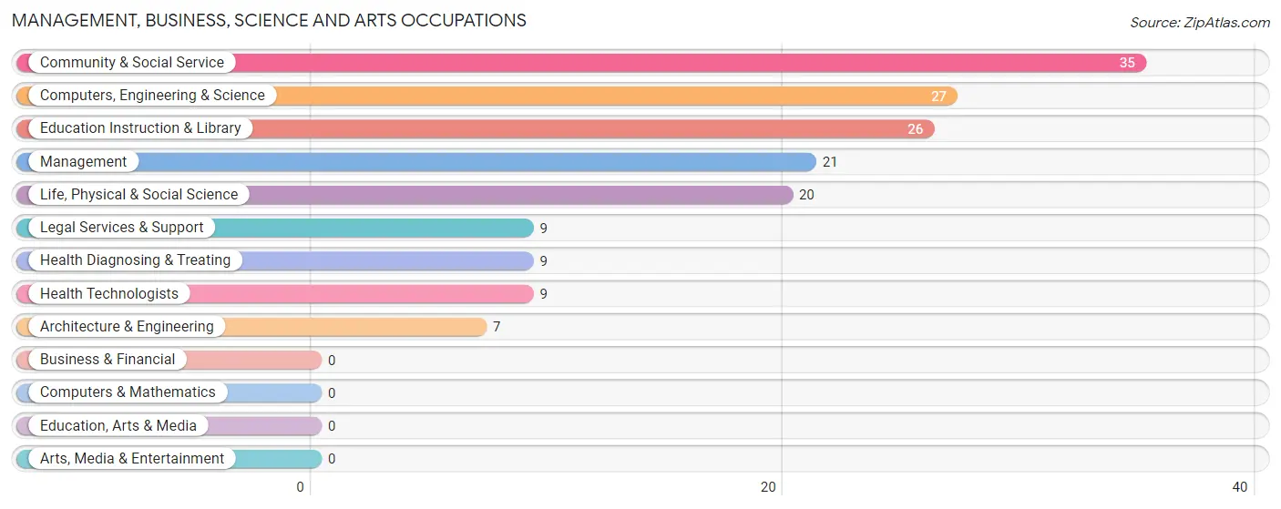 Management, Business, Science and Arts Occupations in Cloudcroft