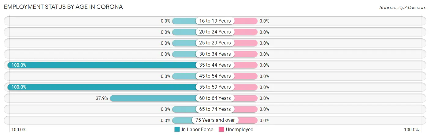 Employment Status by Age in Corona