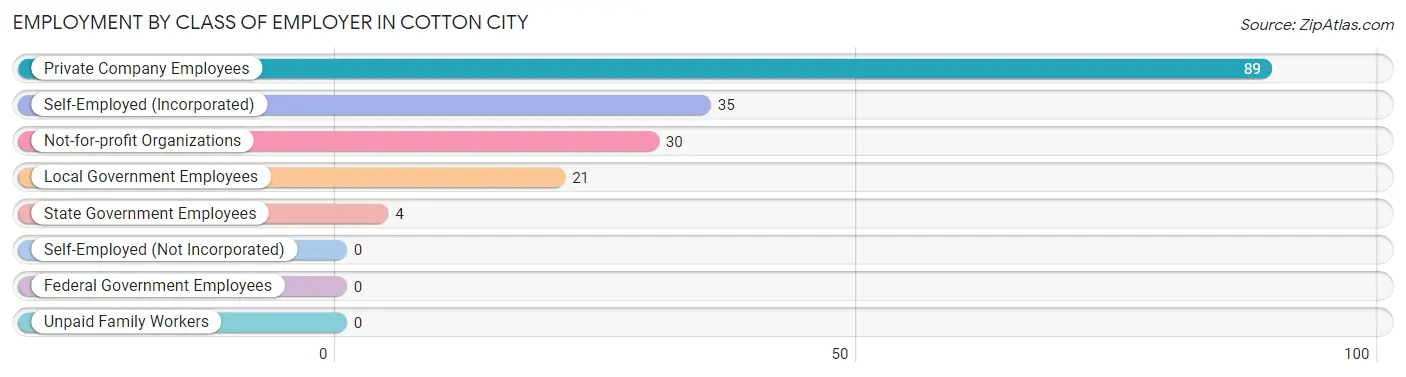 Employment by Class of Employer in Cotton City