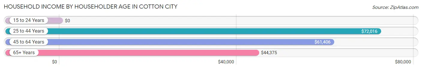 Household Income by Householder Age in Cotton City