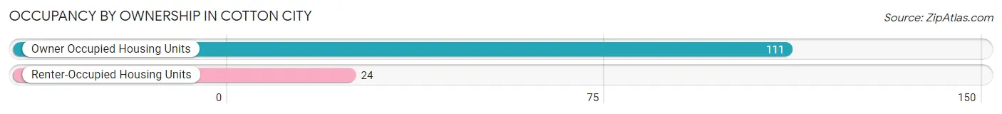 Occupancy by Ownership in Cotton City