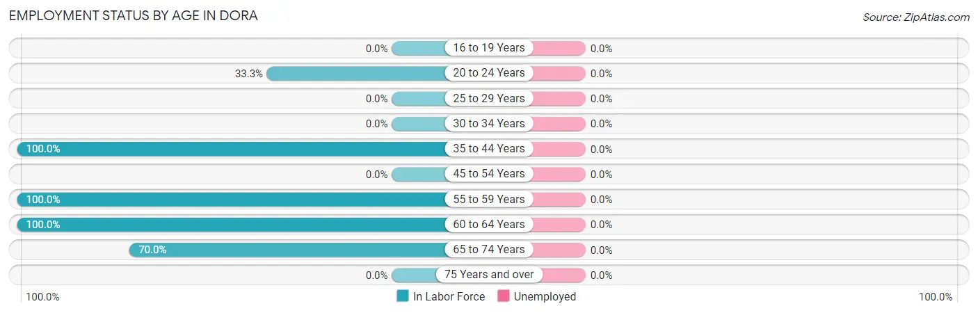 Employment Status by Age in Dora