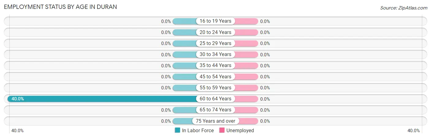 Employment Status by Age in Duran