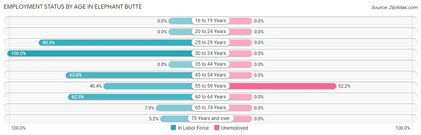 Employment Status by Age in Elephant Butte