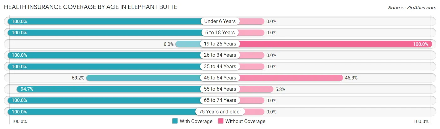 Health Insurance Coverage by Age in Elephant Butte