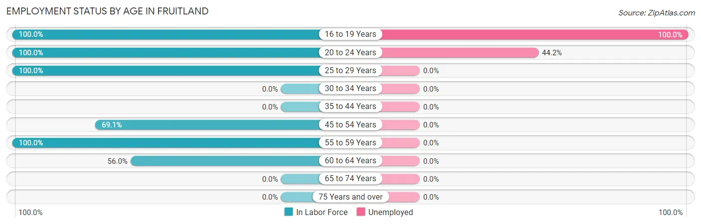 Employment Status by Age in Fruitland