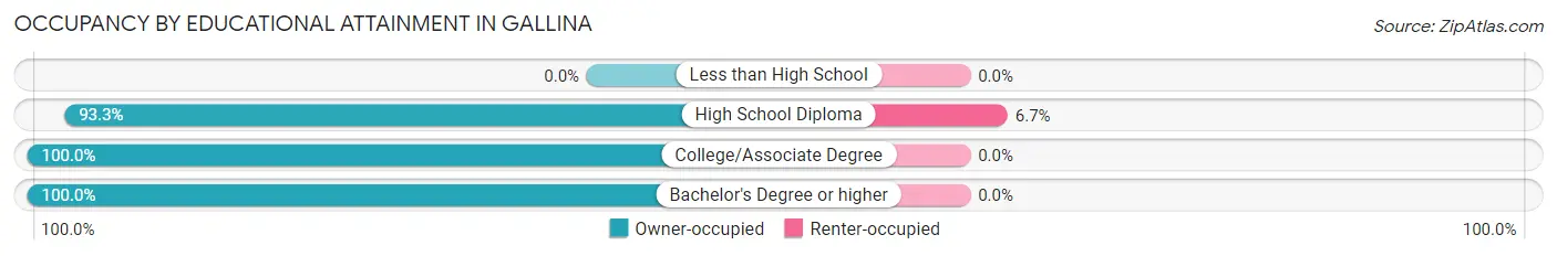 Occupancy by Educational Attainment in Gallina