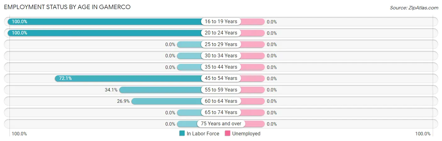 Employment Status by Age in Gamerco