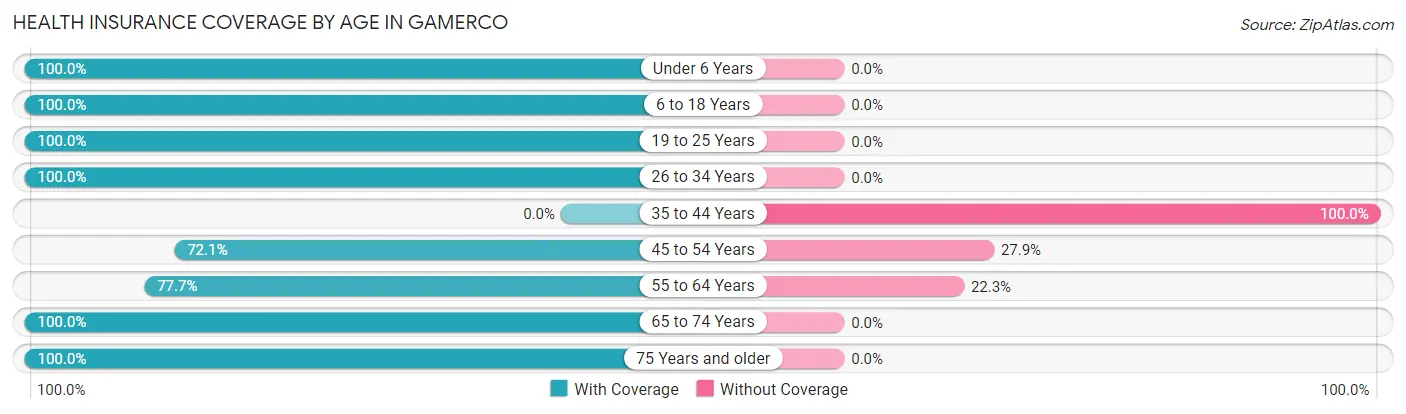 Health Insurance Coverage by Age in Gamerco