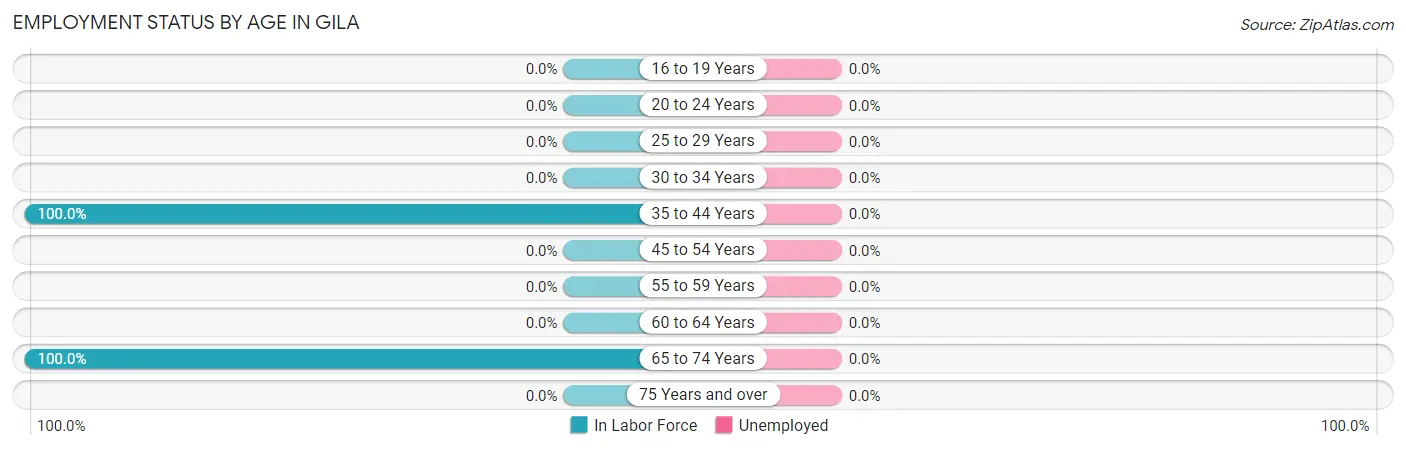 Employment Status by Age in Gila