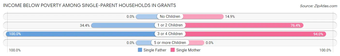 Income Below Poverty Among Single-Parent Households in Grants