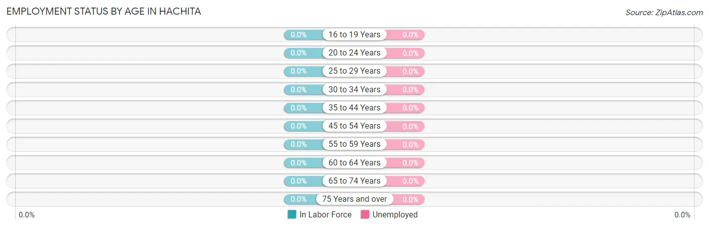 Employment Status by Age in Hachita